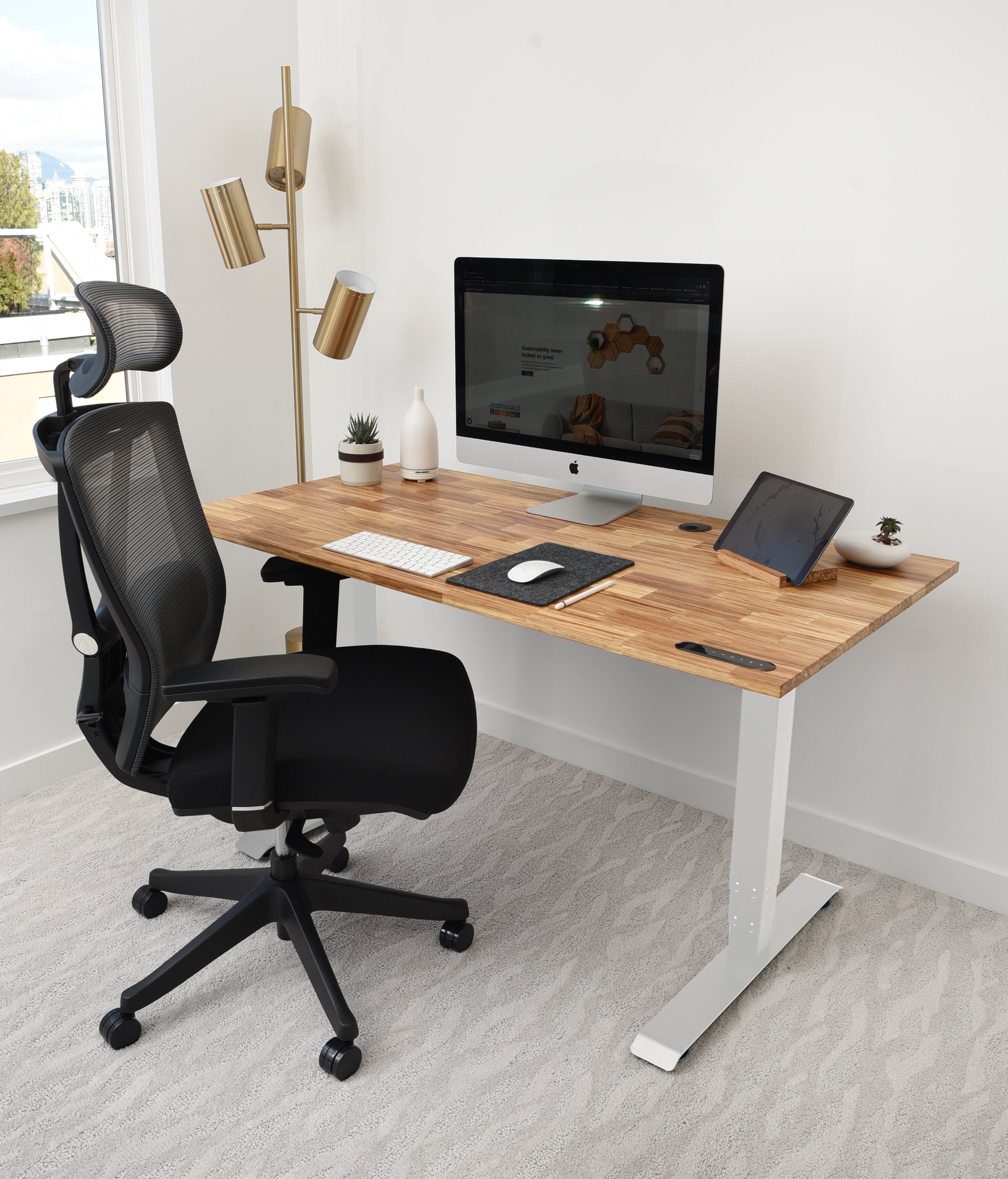 TerraDesk | Eco-Friendly Height-Adjustable Electric Standing Desk.