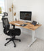 TerraDesk | Eco-Friendly Height-Adjustable Electric Standing Desk.