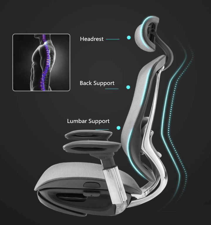 Celini Ergonomic Chair - EFFYDESK