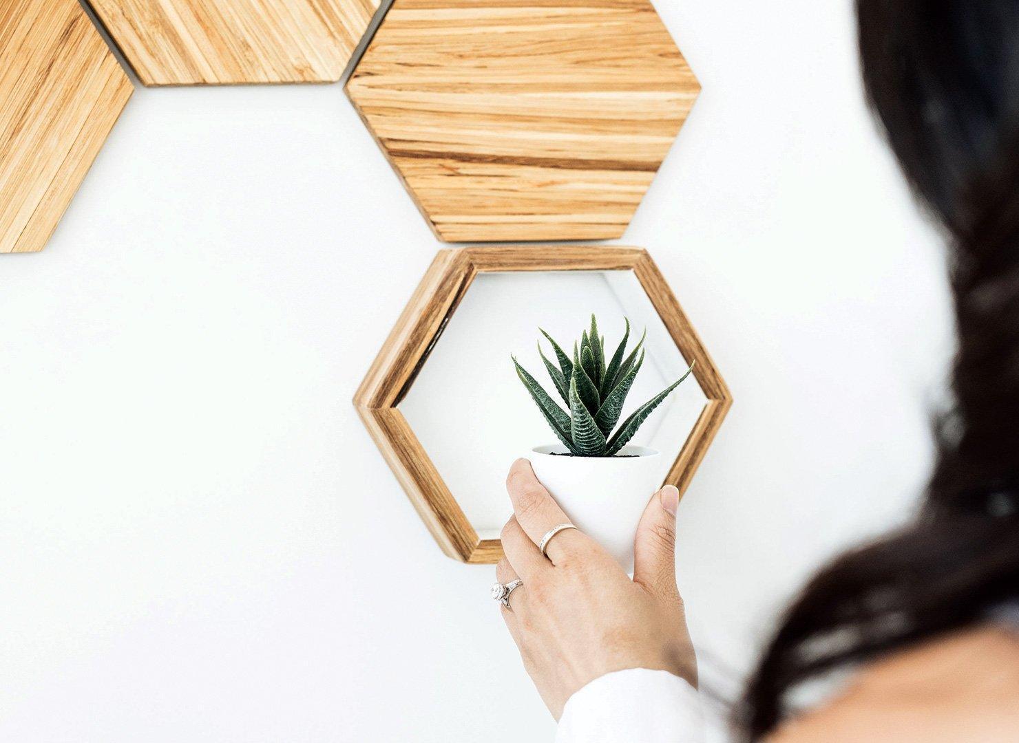 Terra Wall Decor Set - EFFYDESK